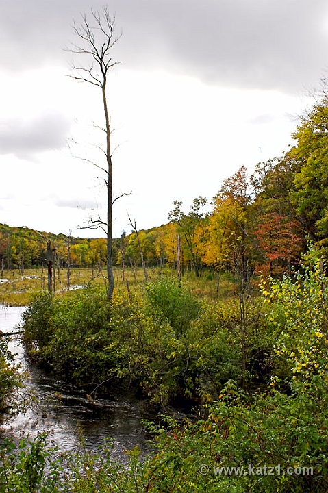 Fall '05 - 7